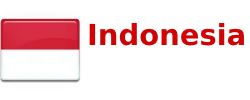 Indonesia e-Visa requirements